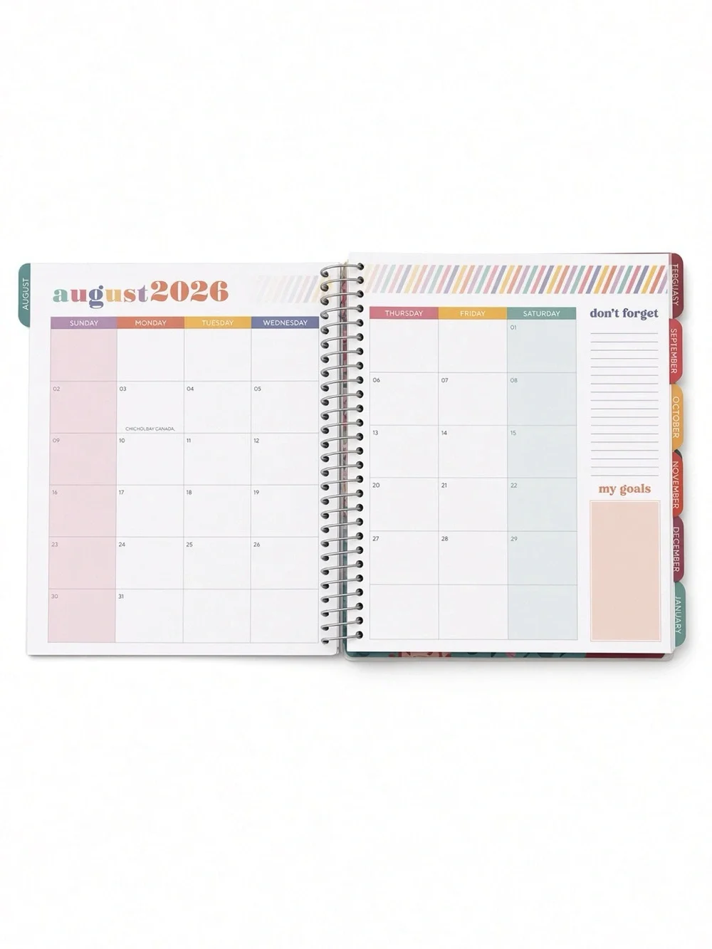The Creative Expert Axolotl 17 Month Weekly Monthly Planner NEW